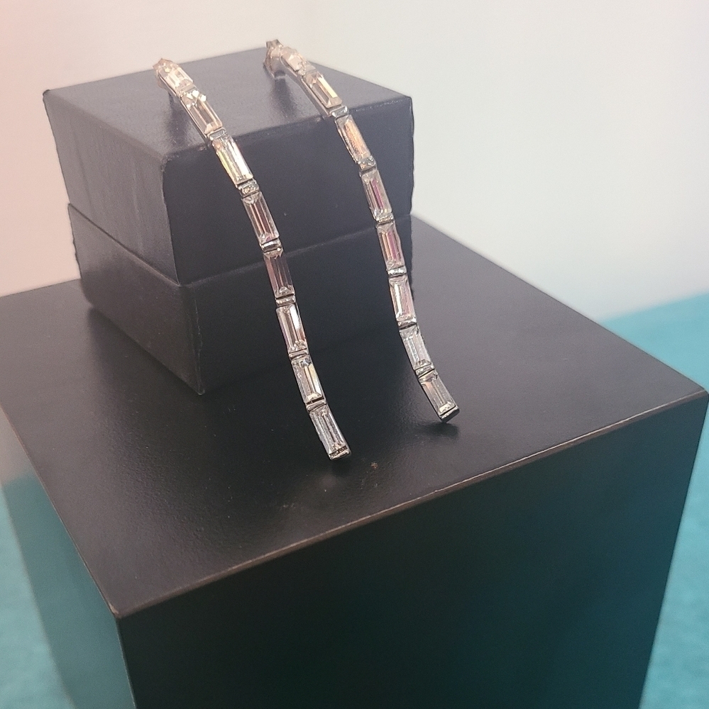 Alexis Bittar Silver Long TWIG Earrings